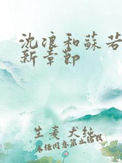 沈浪和苏若雪更新章节