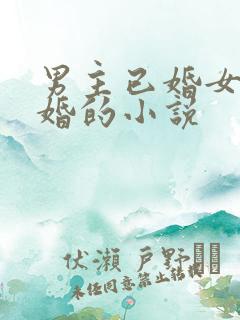 男主已婚女主未婚的小说