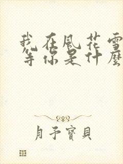 我在风花雪月里等你是什么