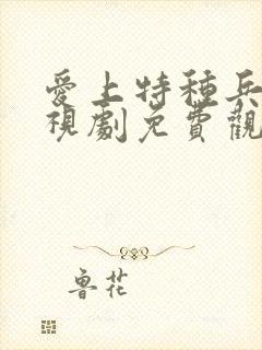 爱上特种兵的电视剧免费观看