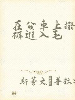 在公车上拨开内裤进入毛