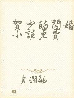 贺少的闪婚暖妻小说免费