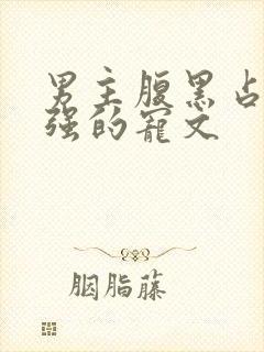 男主腹黑占有欲强的宠文