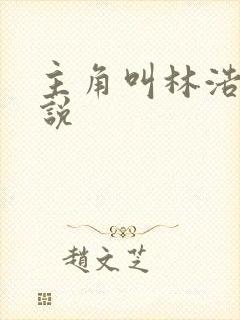 主角叫林浩的小说