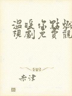 温暖你点燃我电视剧免费观看全集