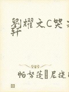 刘耀文C哭宋亚轩