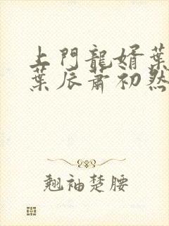 上门龙婿叶辰(叶辰萧初然)