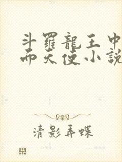 斗罗龙王中的千面天使小说免费阅读