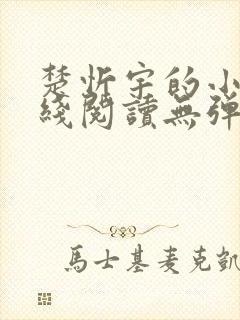 楚忻宇的小说在线阅读无弹窗