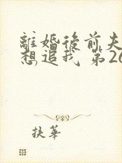 离婚后前夫总是想追我 第260章