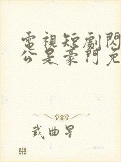 电视短剧闪婚老公是豪门免费观看