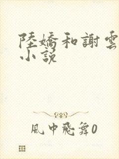 陆娇和谢云瑾的小说