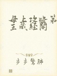 母上攻略第一版主藏经阁