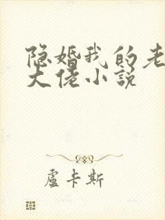 隐婚我的老公是大佬小说