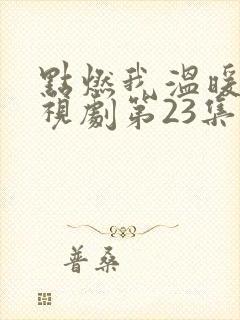 点燃我温暖你电视剧第23集