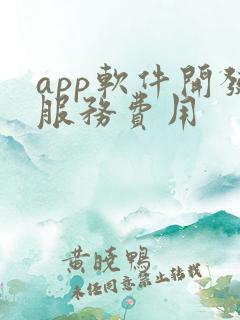 app软件开发服务费用