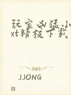 玩家凶猛小说txt精校下载