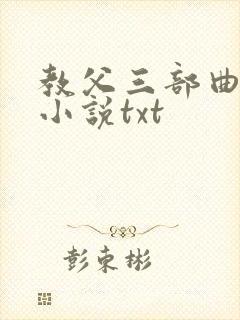 教父三部曲原著小说txt