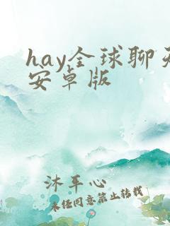 hay全球聊天安卓版