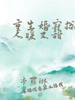 重生婚宠总裁夫人暖又甜