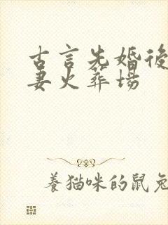 古言先婚后爱追妻火葬场