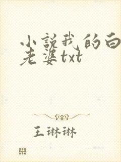 小说我的白富美老婆txt