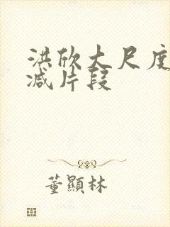 洪欣大尺度未删减片段