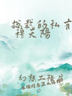 总裁的私有宝贝 穆天阳