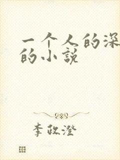 一个人的深夜看的小说