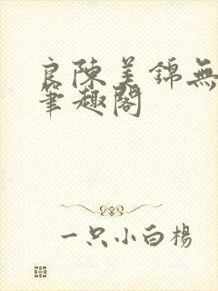良陈美锦无删减笔趣阁