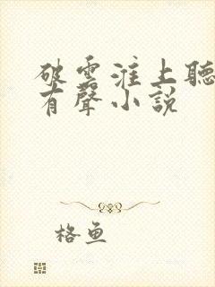 破云淮上听书网有声小说