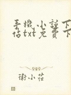 手机小说下载网站txt免费下载