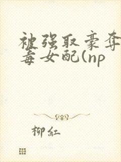 被强取豪夺的恶毒女配(np