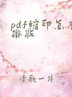 pdf缩印怎么排版
