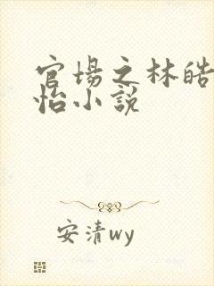 官场之林皓李静怡小说