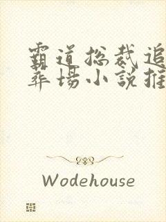 霸道总裁追妻火葬场小说推荐