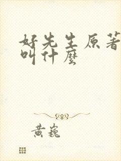 好先生原著小说叫什么