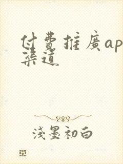 付费推广app渠道