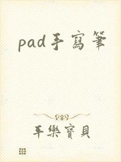 pad手写笔