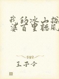 我的冰山总裁老婆百里听风