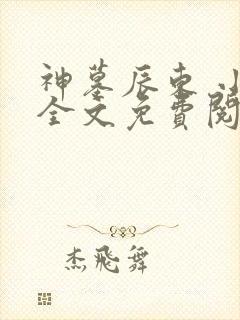 神墓辰东 小说全文免费阅读