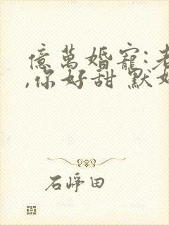 亿万婚宠:老婆,你好甜 默妍