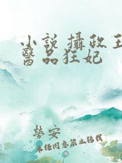 小说 摄政王的医品狂妃