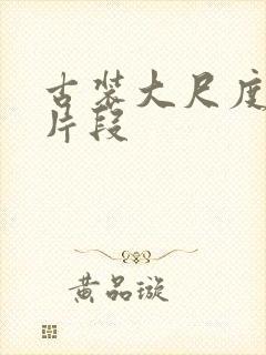 古装大尺度床戏片段