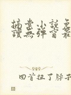 摘棠小说免费阅读无弹窗最新章节