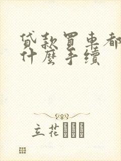 贷款买车都给我什么手续