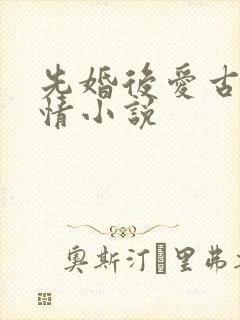 先婚后爱古代言情小说