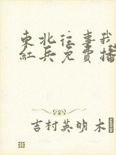 东北往事我叫赵红兵免费播放