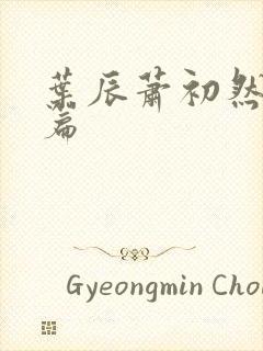 叶辰萧初然结局篇