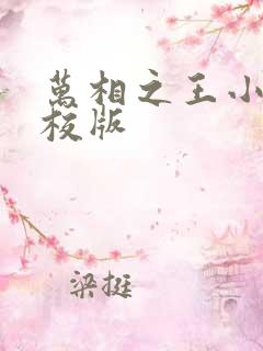 万相之王小说精校版